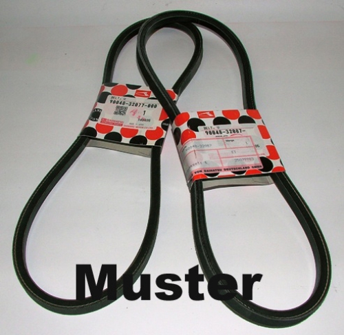 V-belt Cuore - Trevis